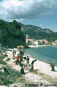 Beach Cleaning