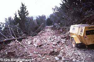 Building the road to Seitani